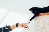 “The image captures a playful yet potentially hazardous moment where a person is reaching out to a black cat that is stretching its paw, with text warning about the cat’s malicious nature and the risk of scratches.”