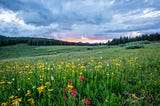 A beautiful green meadow filled with yellow and red wildflowers. A forested treeline in the distance and a colorful cloudy sky above.