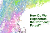 Dreaming of a Northeast Forest Bioregion?