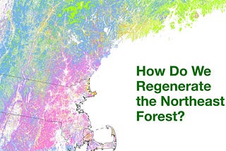 Dreaming of a Northeast Forest Bioregion?