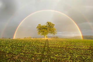 What Made This Rainbow So Perfect?