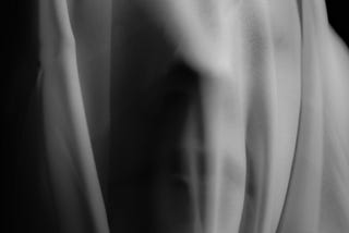 A monochromatic image showing a translucent fabric that partially reveals a face.