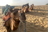 The Sands of Jaisalmer: Where Real Magic Happens