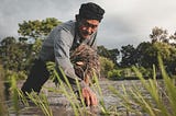 Why Suicide Rates Are So High Among Farmers & What Can We Do About It?