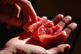 A carelessly sectioned blood-orange, ripped in places, held in one palm while the finger of the other hand prods it.