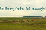 A visit to Hortobagy National Park — an ecological take