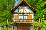 Small, timber-framed cottage in a vinyard with trees behind it