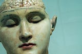 model of human head with brain exposed