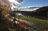 View of the Catskill Creek from my back deck.