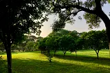 NEHRU PARK: A Tranquil Haven in the Heart of Chanakyapuri