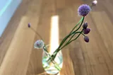 A glass with cut chive flower stems of different length at different stages of blooming. Stems are stretching towards sunlight.