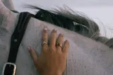 A woman’s hand touching a horse’s neck.