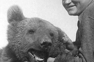 ‘Wojtek’ the Bear: A Half-Ton Weighing Soldier