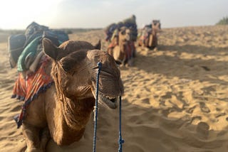 The Sands of Jaisalmer: Where Real Magic Happens