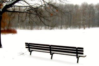 Empty bench in snowy scene with bare trees.