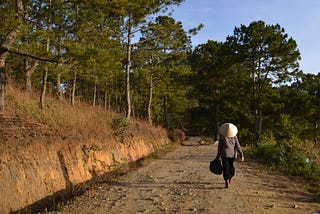 Person wearing a Vietnamese straw hat and walking on a dry, dirt and gravel road, surrounded by trees.