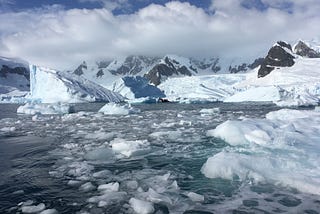 What Visiting Antarctica Taught Me About Nature