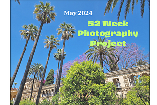 The 52-Week Photography Project
