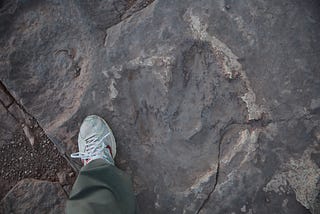 Image of a dinosaur footprint in Moab, Utah, with my foot beside it for scale