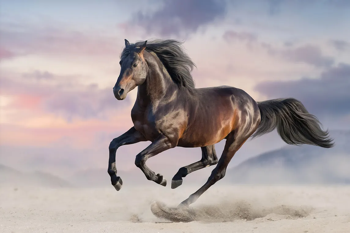 A gorgeous brown horse running through a dramatic atmosphere.