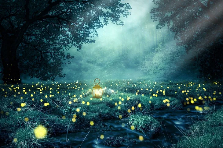 A dark green forest with large trees on either side, sits in a field of yellow wildflowers with a lantern with a yellow light in the center. The forest is covered in fog in the distance, and a white light shines above.