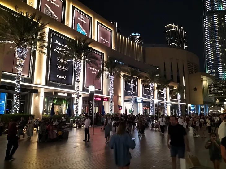 I Fell In Love With Shopping in Dubai